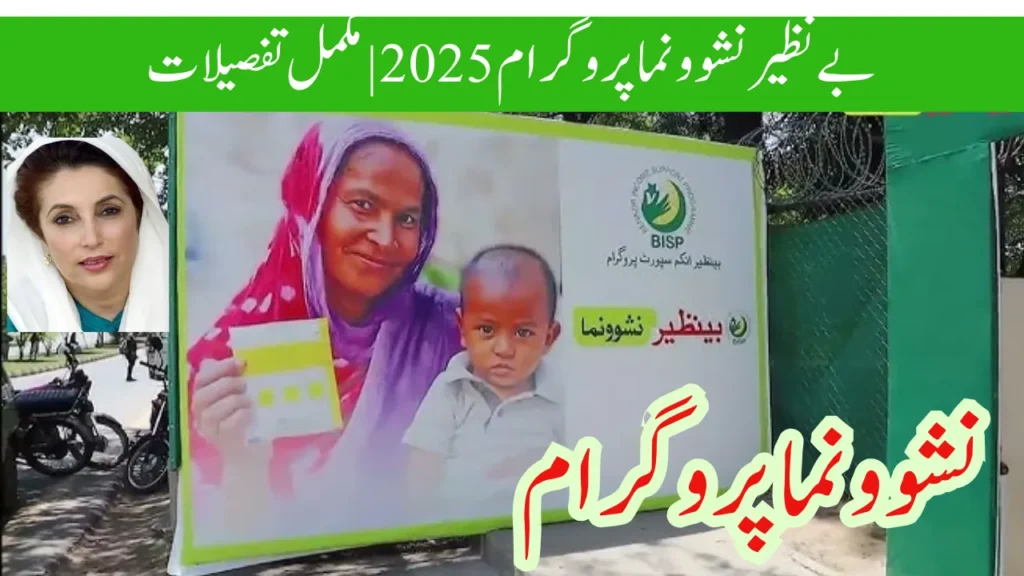 بے نظیر نشوونما پروگرام