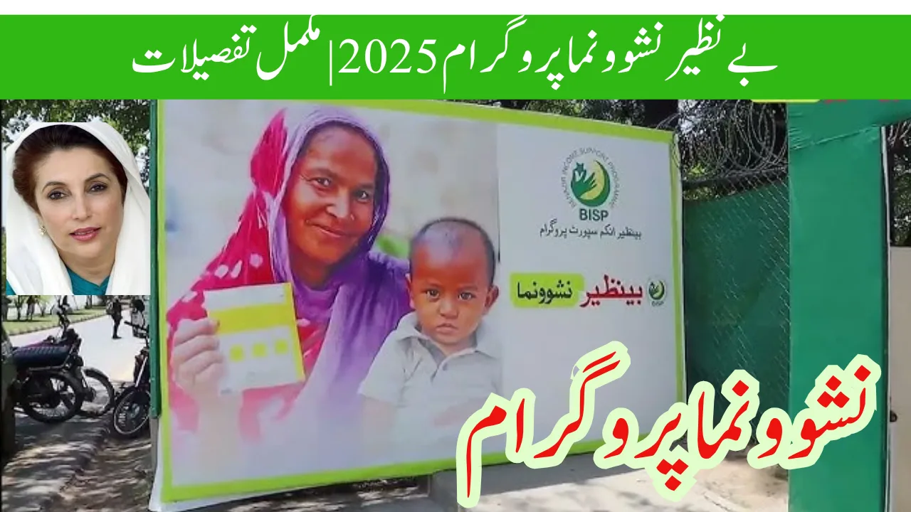 بے نظیر نشوونما پروگرام